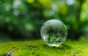 ESS, entrepreneuriat ESS, économie sociale et solidaire, statuts ESS, financement ESS, label ESUS, entreprises sociales France, coaching ESS, activité solidaire, entreprendre avec sens